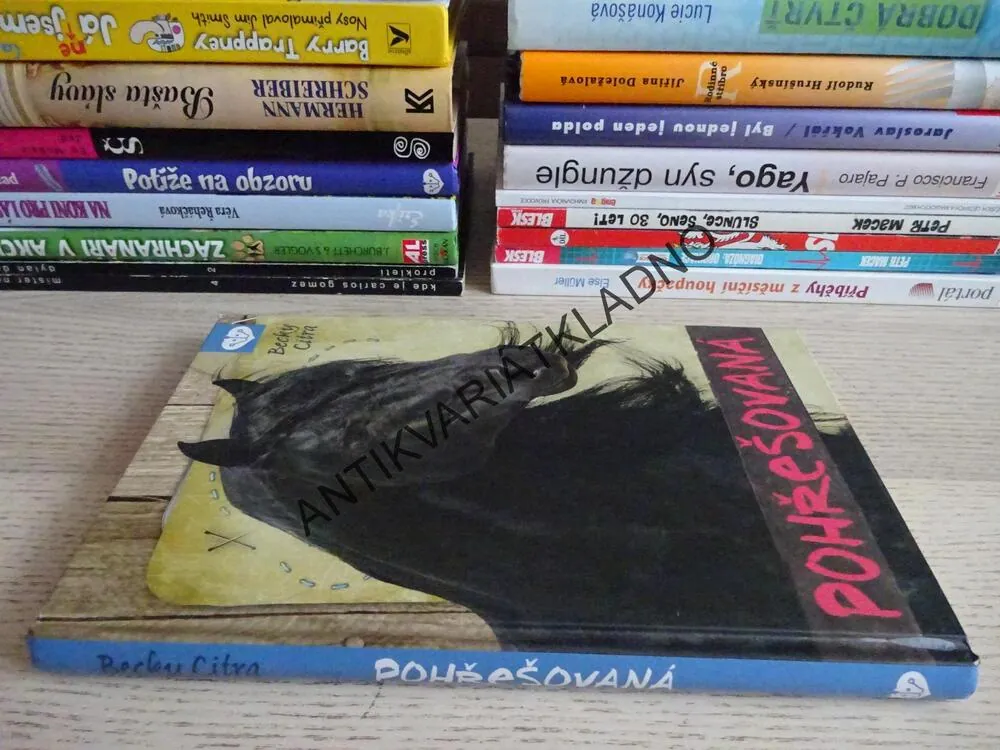 POHŘEŠOVANÁ, BECKY CITRA, **an