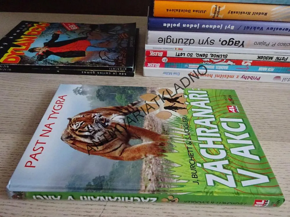 ZÁCHRANÁŘI V AKCI, J. BURCHETT, S. VOGLER, **an