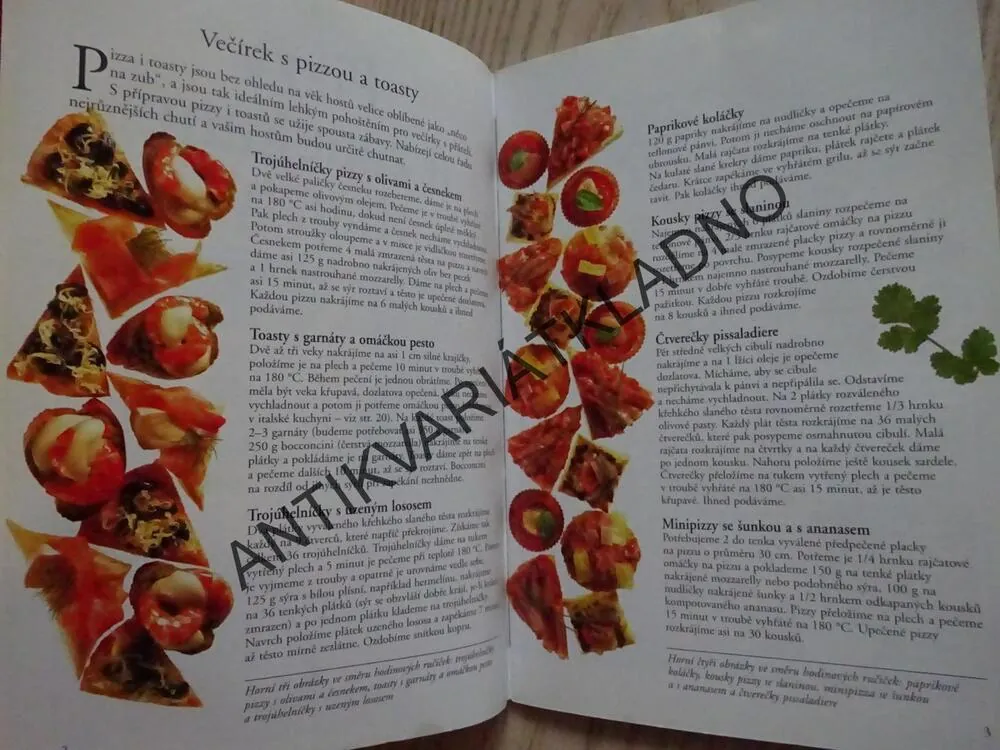 PIZZY A ZAPÉKANÉ TOASTY, ANNE WILSONOVÁ, **an