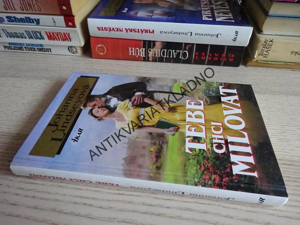 TEBE CHCI MILOVAT, JOHANNA LINDSEYOVÁ, LINDSEY, **an
