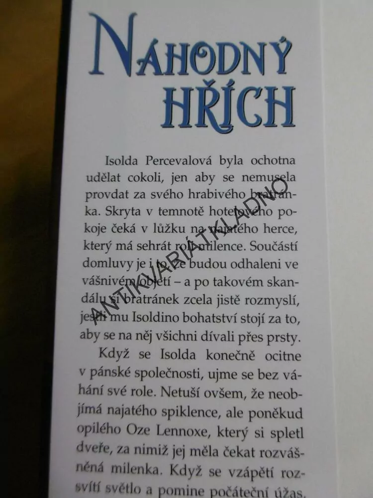 NÁHODNÝ HŘÍCH, SUSAN JOHNSON