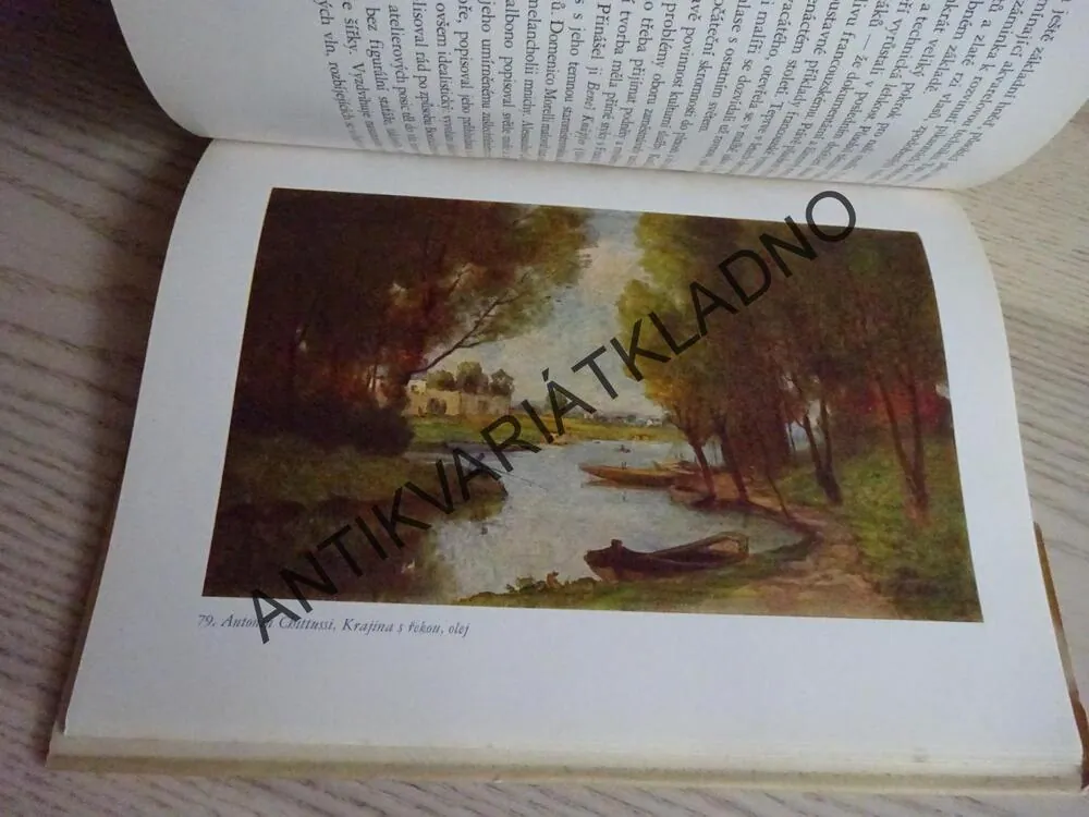 Z OBRAZÁRNY PRAŽSKÉHO HRADU, ČESKÉ MALÍŘSTVÍ XIX, STOLETÍ, **an