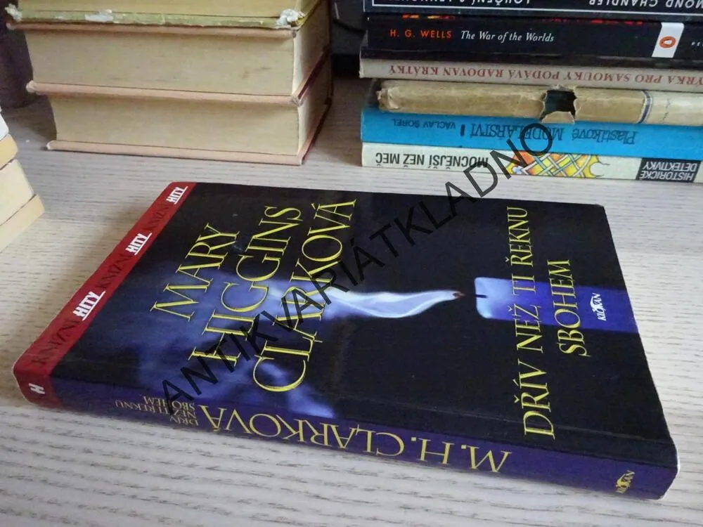 DŘÍV NEŽ TI ŘEKNU SBOHEM, MARY HIGGINS CLARKOVÁ, **an