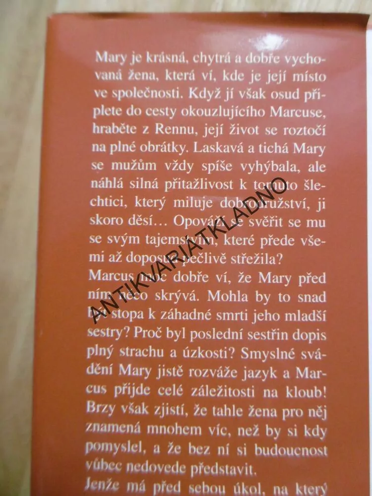 DOKONALÁ PARTIE, ADELE ASHWORTH
