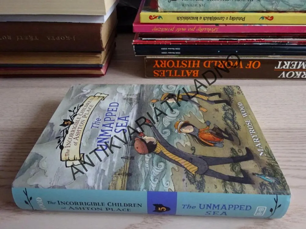 THE INCORRIGIBLE CHILDREN OF ASHTON PLACE, THE UNMAPPED SEA, MARYROSE WOOD, **an