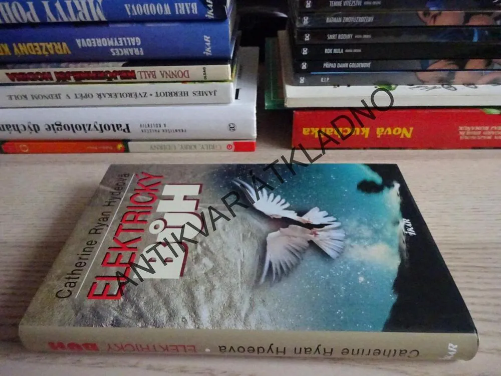ELEKTRICKÝ BŮH, CATHERINE RYAN HYDEOVÁ, **an