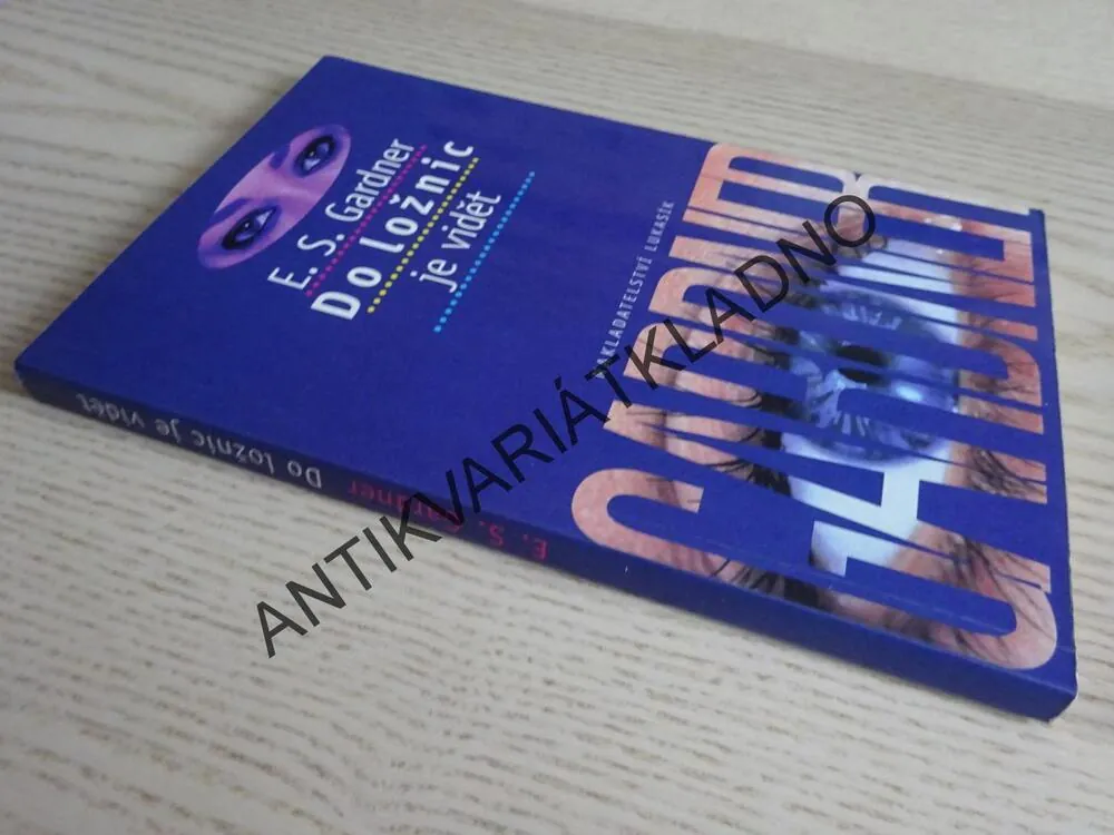 DO LOŽNIC JE VIDĚT, ERLE STANLEY GARDNER, **an
