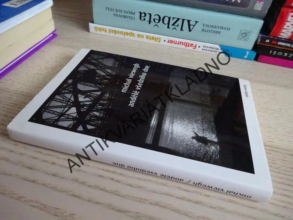 ANDĚLÉ VŠEDNÍHO DNE, MICHAL VIEWEGH, **an