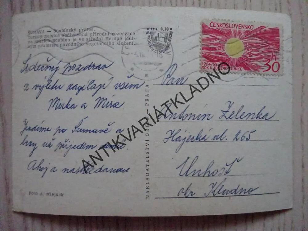 ŠUMAVA, BOUBÍNSKÝ PRALES, OKRES PRACHATICE