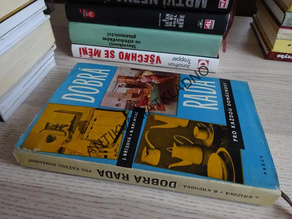 DOBRÁ RADA PRO KAŽDOU DOMÁCNOST, HOBBY, RETRO, BŘÍZOVÁ, KRCHOVÁ, **an