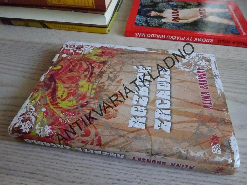 ROZBITÉ ZRCADLO, ALINA BRONSKY, **an