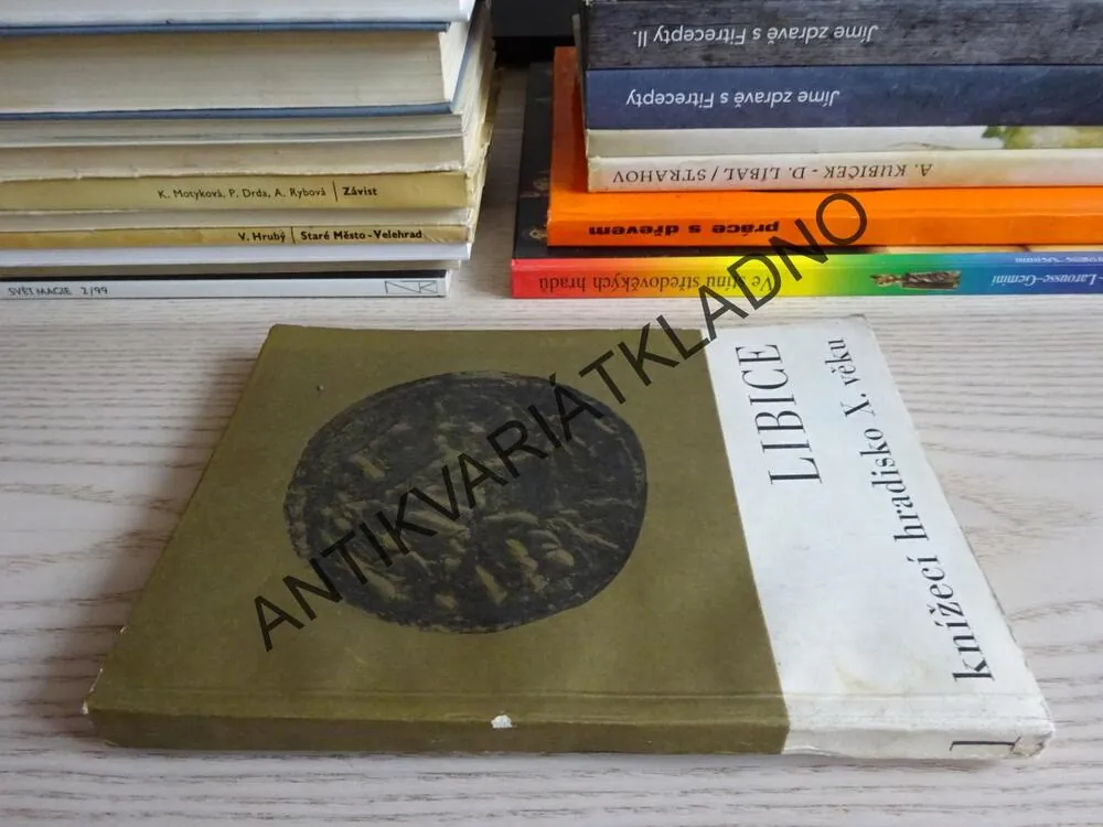 LIBICE, KNÍŽECÍ HRADISKO X. VĚKU, PRŮVODCE PRAVĚKEM, **an