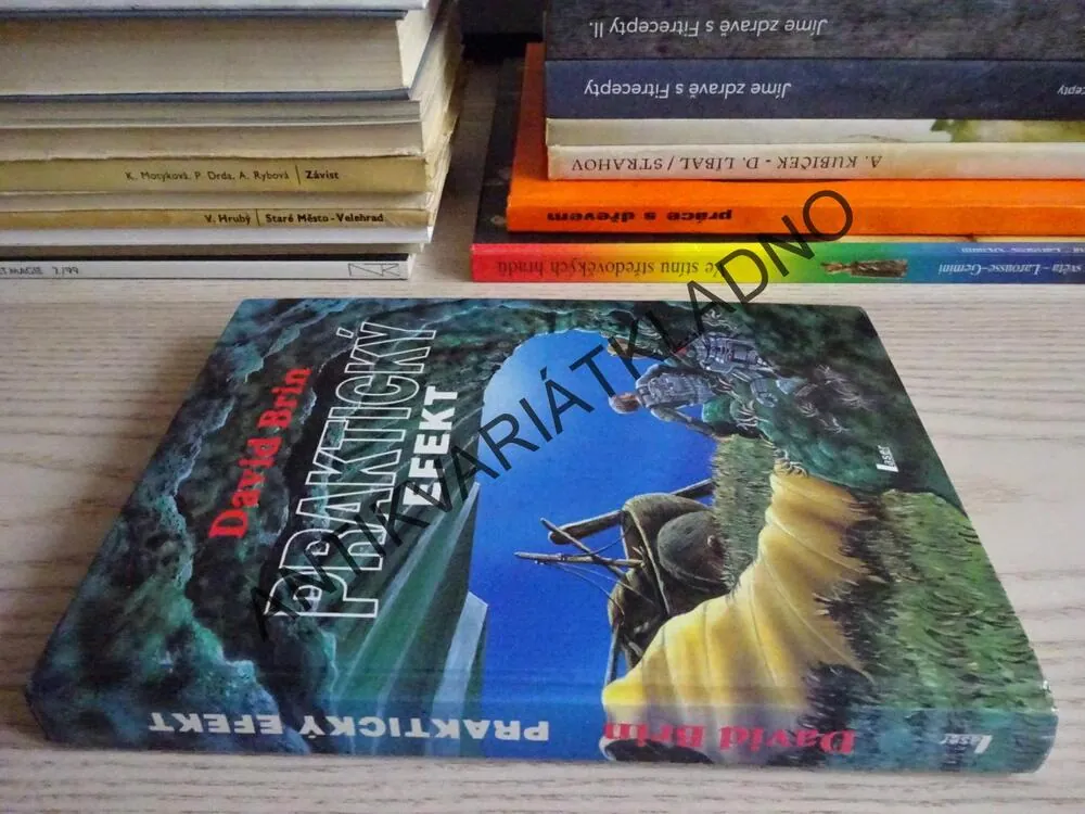 PRAKTICKÝ EFEKT, DAVID BRIN, **an