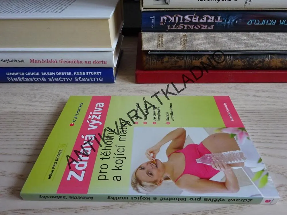ZDRAVÁ VÝŽIVA PRO TĚHOTNÉ A KOJÍCÍ MATKY, ANNETTE SABERSKY, **an