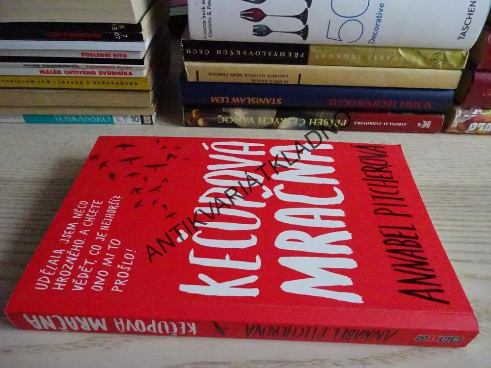 KEČUPOVÁ MRAČNA, ANNABEL PITCHEROVÁ, **an