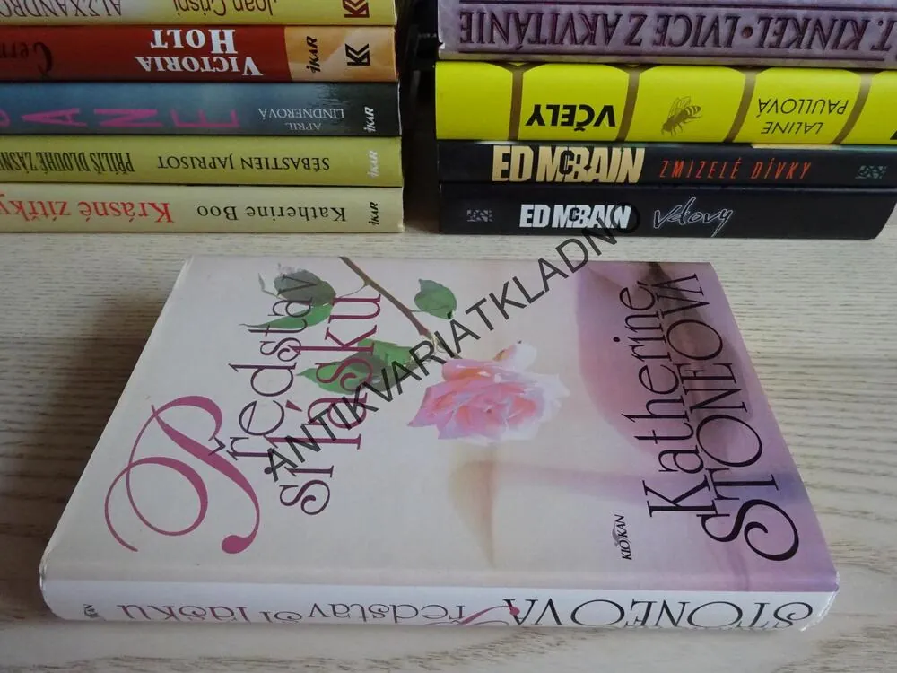 PŘEDSTAV SI LÁSKU, KATHERINE STONEOVÁ, **an