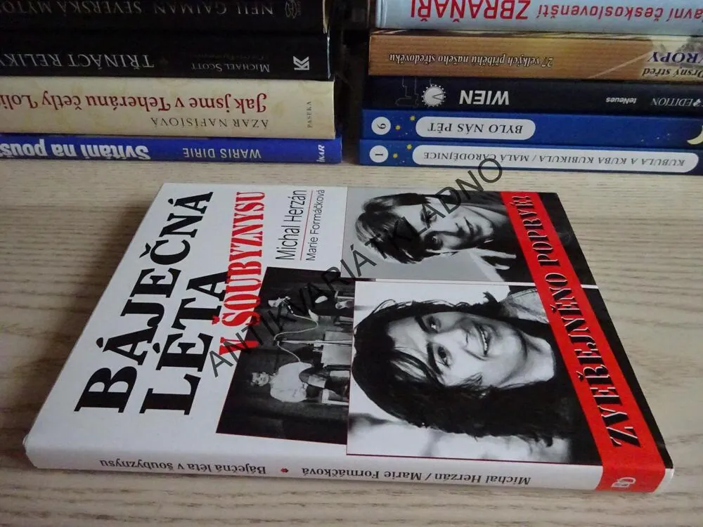 BÁJEČNÁ LÉTA V ŠOUBYZNYSU, MICHAL HERZÁN, MARIE FORMÁČKOVÁ, **an