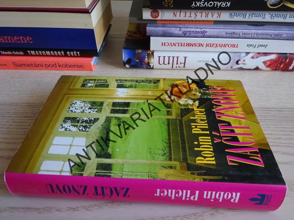 ZAČÍT ZNOVU, ROBIN PILCHER, **an