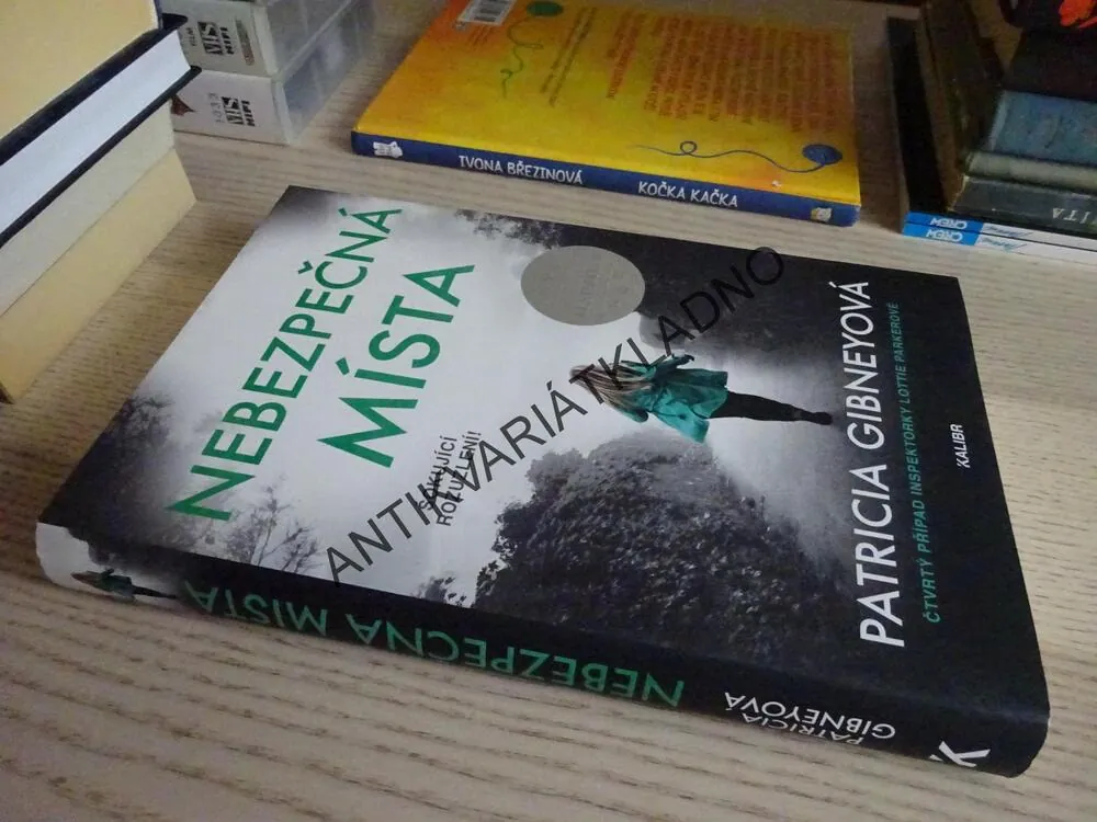 NEBEZPEČNÁ MÍSTA, PATRICIA GIBNEYOVÁ, **an