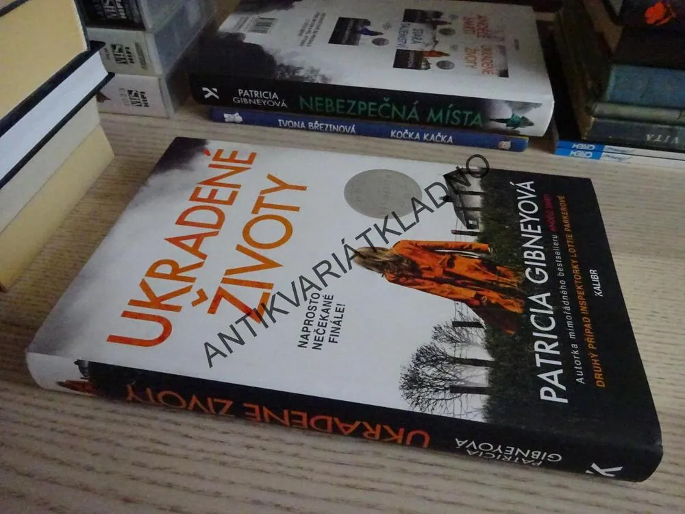 UKRADENÉ ŽIVOTY, PATRICIA GIBNEYOVÁ, **an