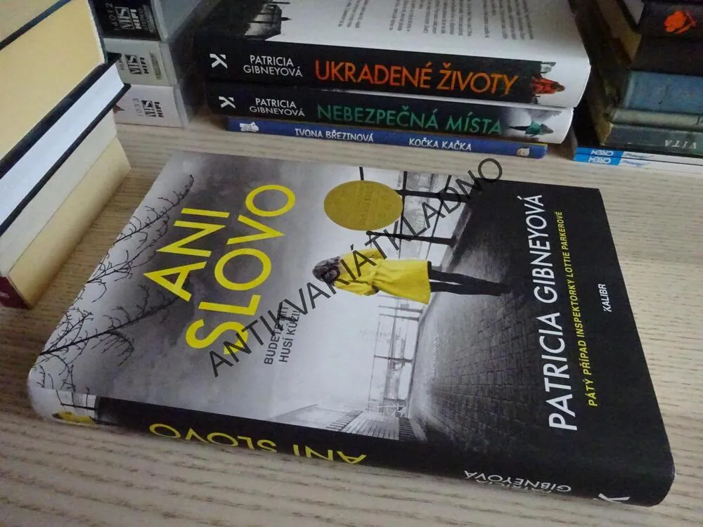 ANI SLOVO, PATRICIA GIBNEYOVÁ, **an