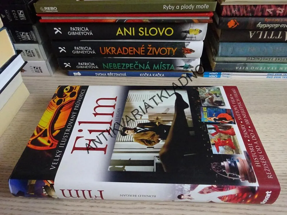 FILM, VELKÝ ILUSTROVANÝ PRŮVODCE, RONALD BERGAN, **an