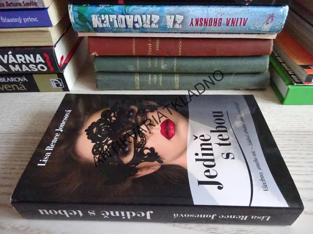 JEDINĚ S TEBOU, LISA RENEE JONESOVÁ, **an