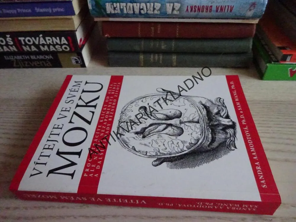VÍTEJTE VE SVÉM MOZKU, SANDRA AAMODTOVÁ, SAM WANG, **an