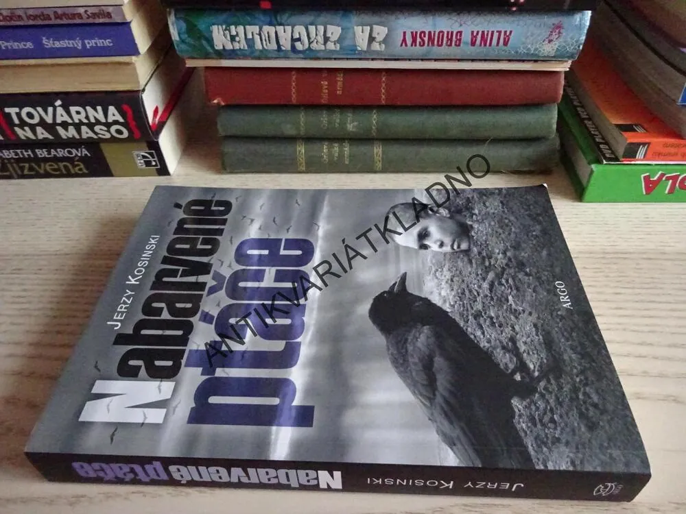 NABARVENÉ PTÁČE, JERZY KOSINSKI, **an