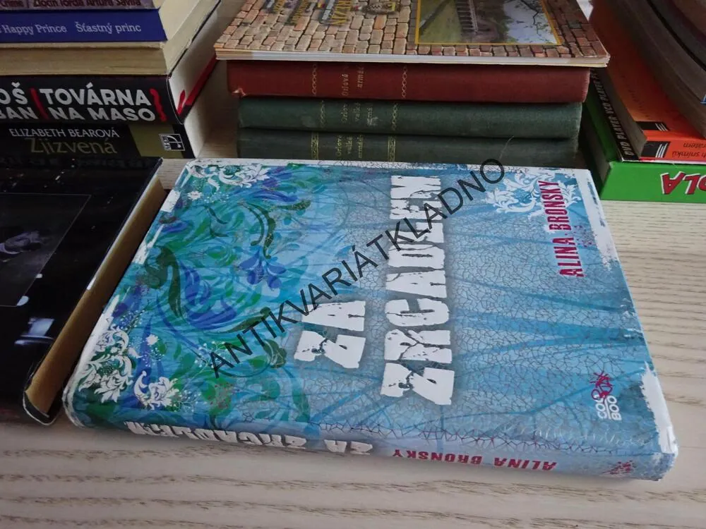 ZA ZRCADLEM, ALINA BRONSKY, **an