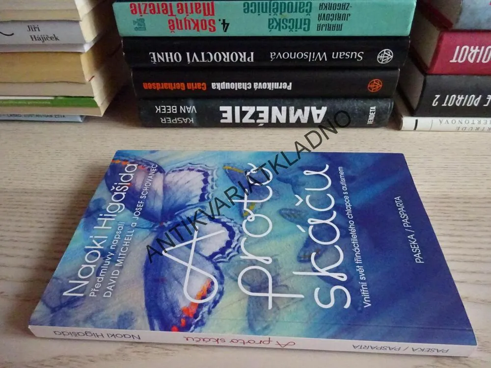 A PROTO SKÁČU, NAOKI HIGAŠIDA