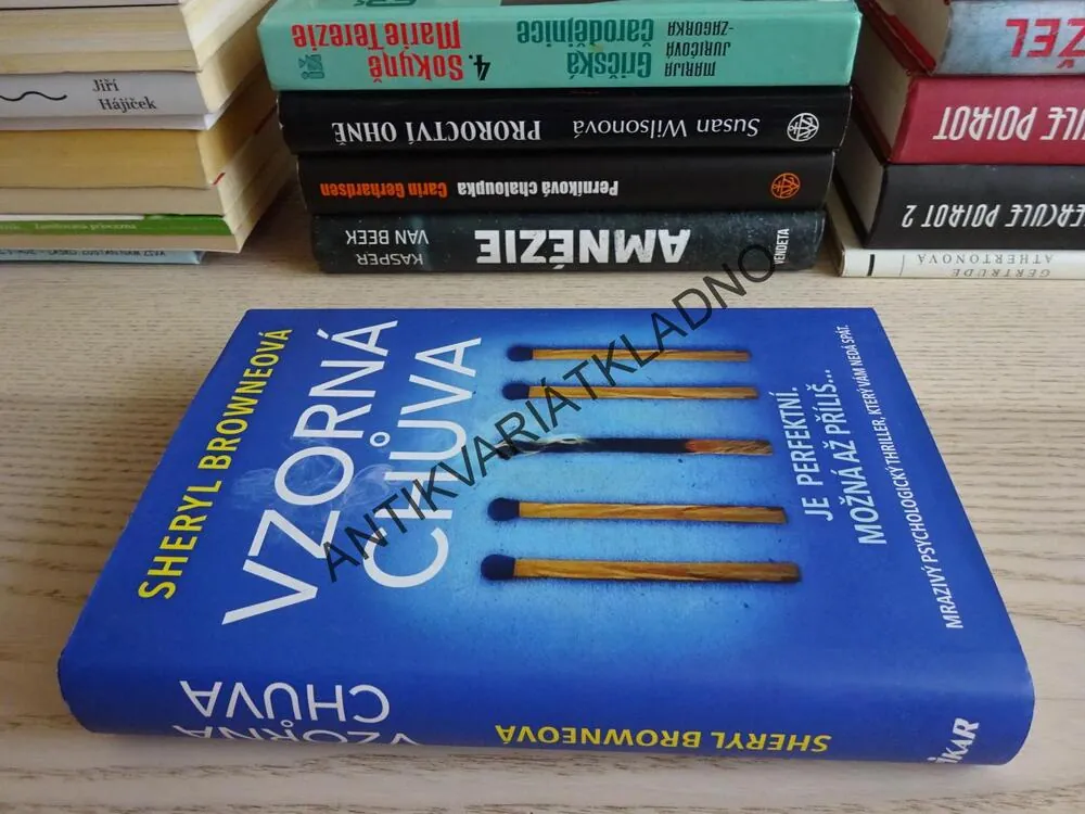 VZORNÁ CHŮVA, SHERYL BROWNEOVÁ, **an