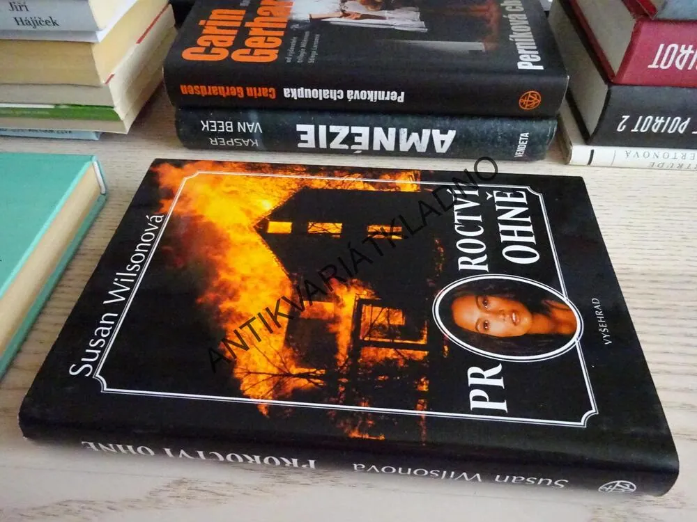 PROROCTVÍ OHNĚ, SUSAN WILSONOVÁ, **an