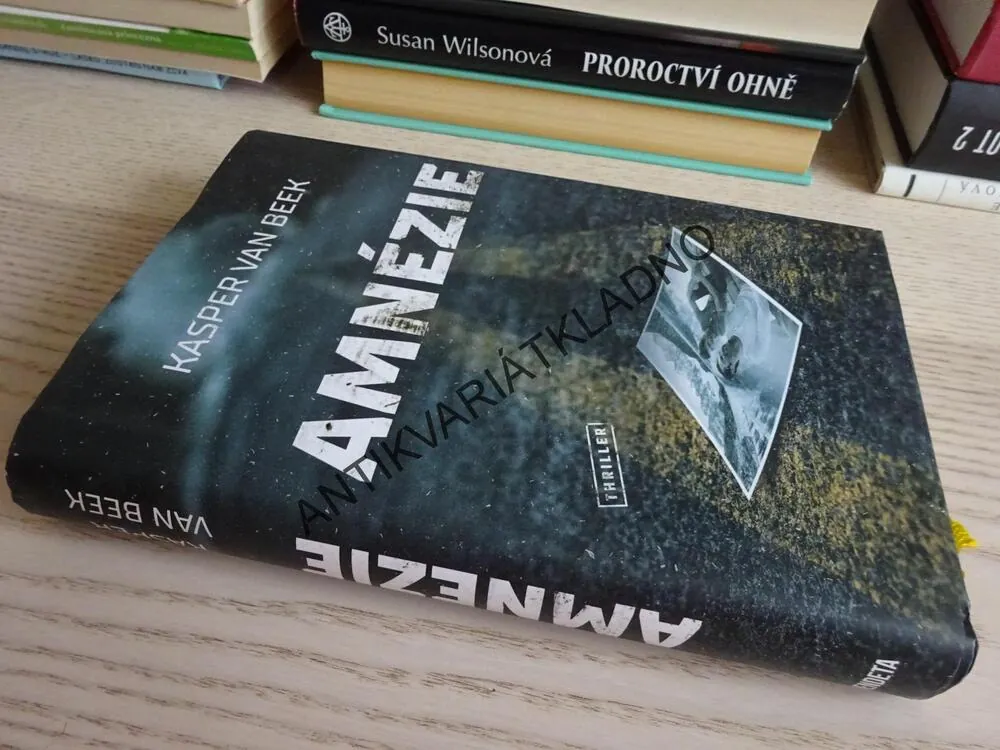 AMNÉZIE, KASPER VAN BEEK, **an