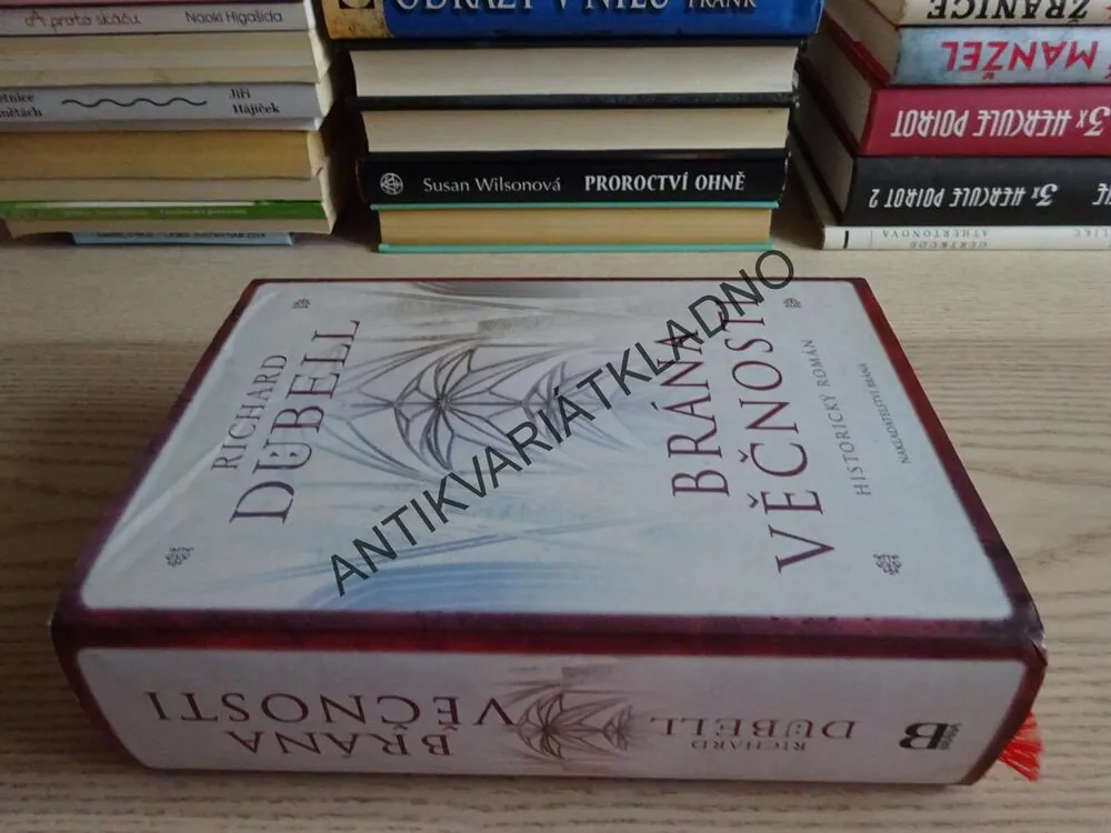 BRÁNA VĚČNOSTI, RICHARD DÜBELL, **an