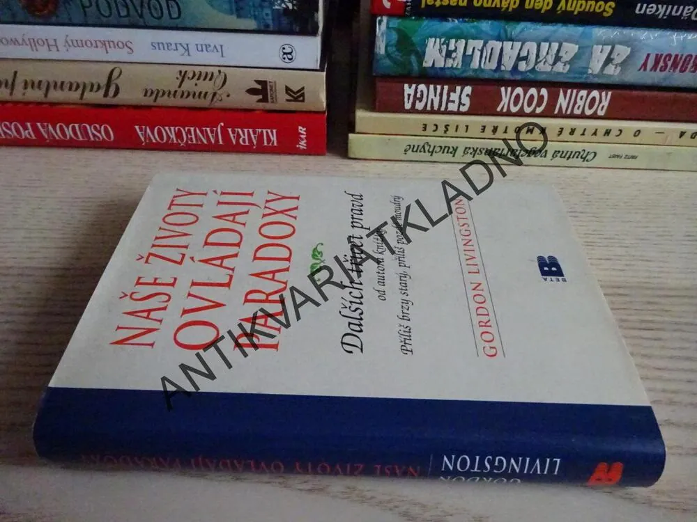 NAŠE ŽIVOTY OVLÁDAJÍ PARADOXY, DALŠÍCH TŘICET PRAVD, GORDON LIVINGSTON, **an