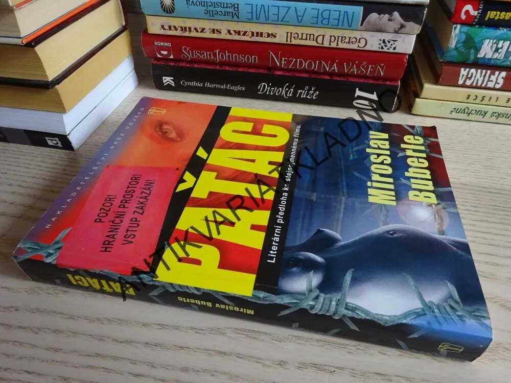 PAŤÁCI, MIROSLAV BUBERLE, **an