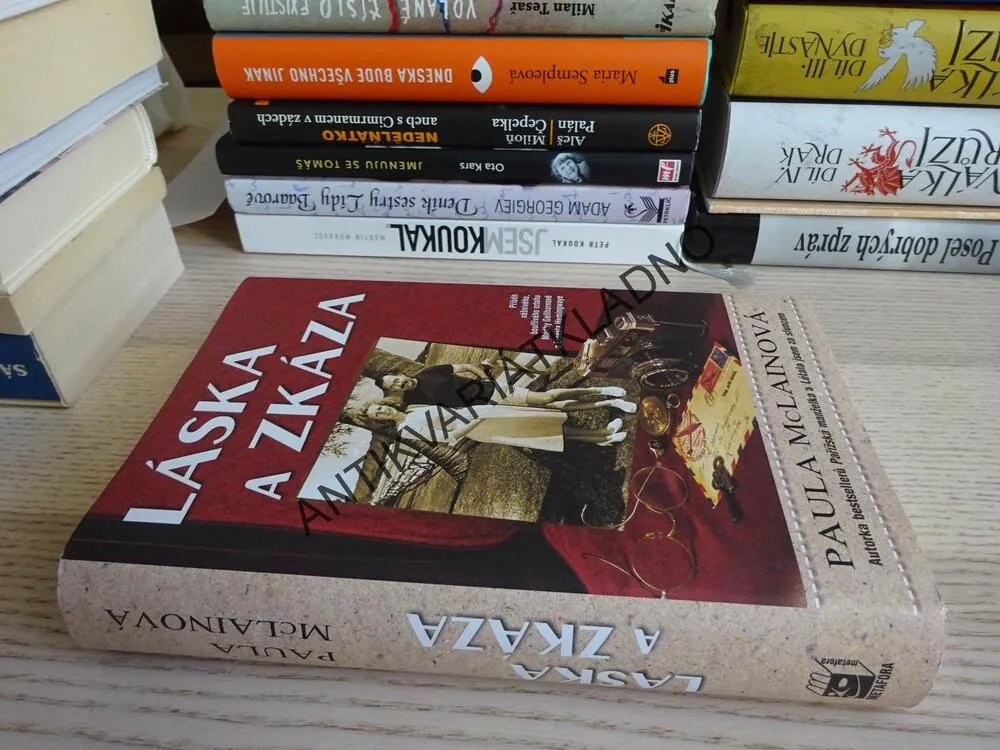 LÁSKA A ZKÁZA, PAULA MCLAINOVÁ, **an