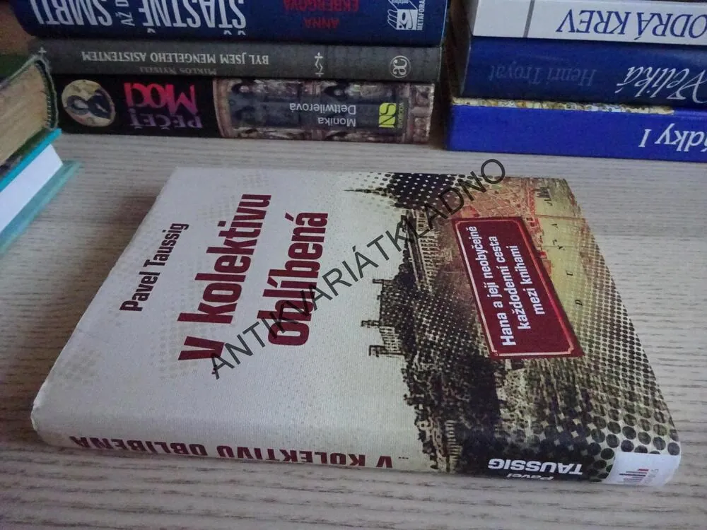 ...V KOLEKTIVU OBLÍBENÁ, PAVEL TAUSSIG, **an