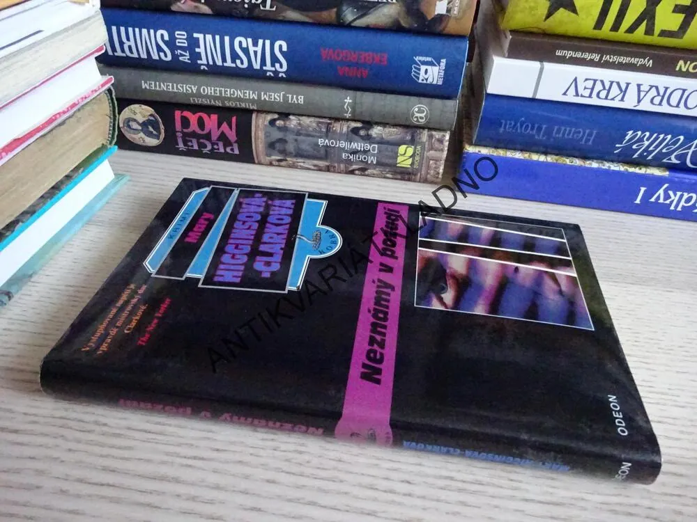 NEZNÁMÝ V POZADÍ, MARY HIGGINS CLARKOVÁ, **an