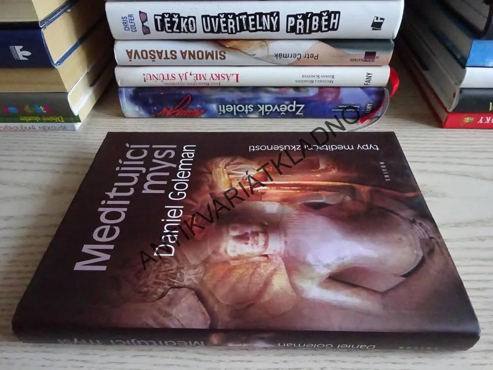 MEDITUJÍCÍ MYSL, TYPY MEDITAČNÍ ZKUŠENOSTI, DANIEL GOLEMAN, **an