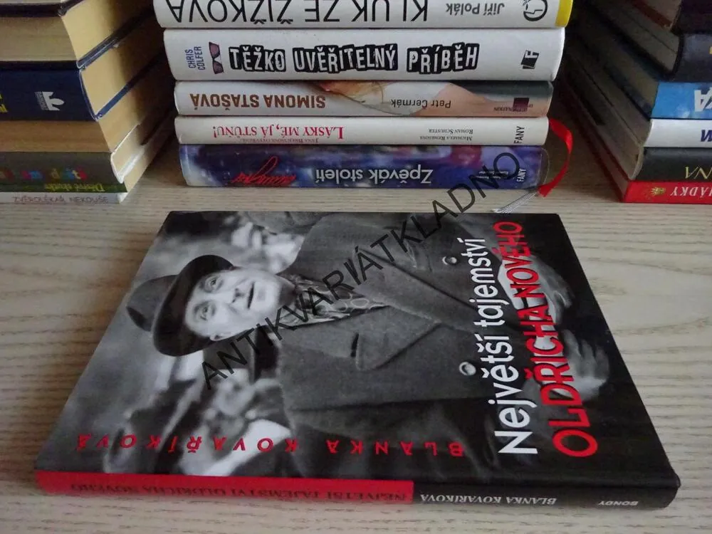 NEJVĚTŠÍ TAJEMSTVÍ OLDŘICHA NOVÉHO, BLANKA KOVAŘÍKOVÁ, **an