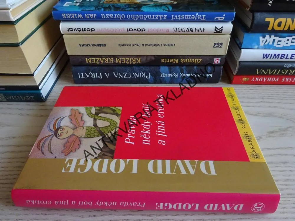 PRAVDA NĚKDY BOLÍ, DAVID LODGE, **an