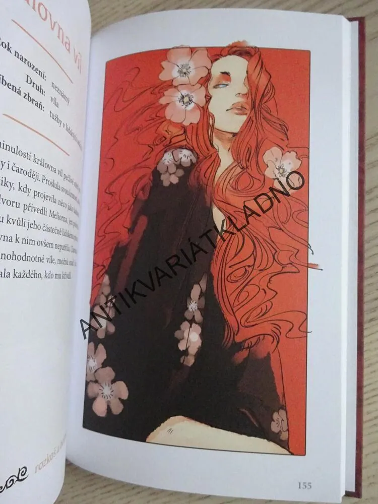 KDO JE KDO VE SVĚTĚ STÍNŮ, CASSANDRA CLAREOVÁ, **an