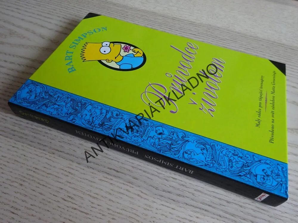 BART SIMPSON, PRŮVODCE ŽIVOTEM, SIMPSONOVI, **an