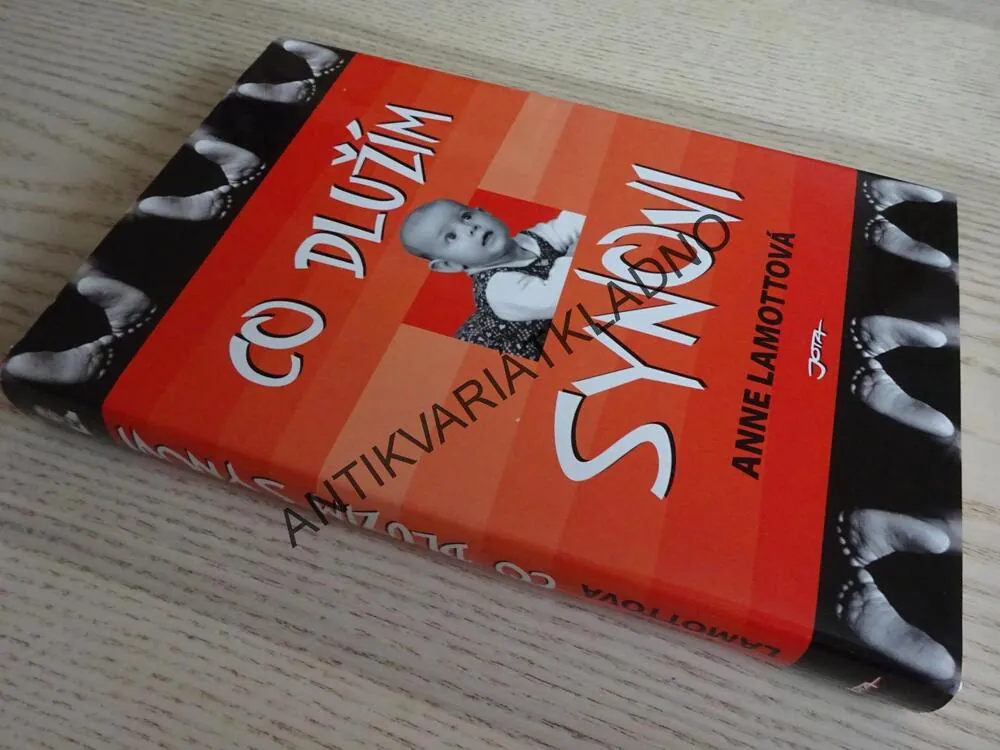CO DLUŽÍM SYNOVI, ANNE LAMOTTOVÁ, **an