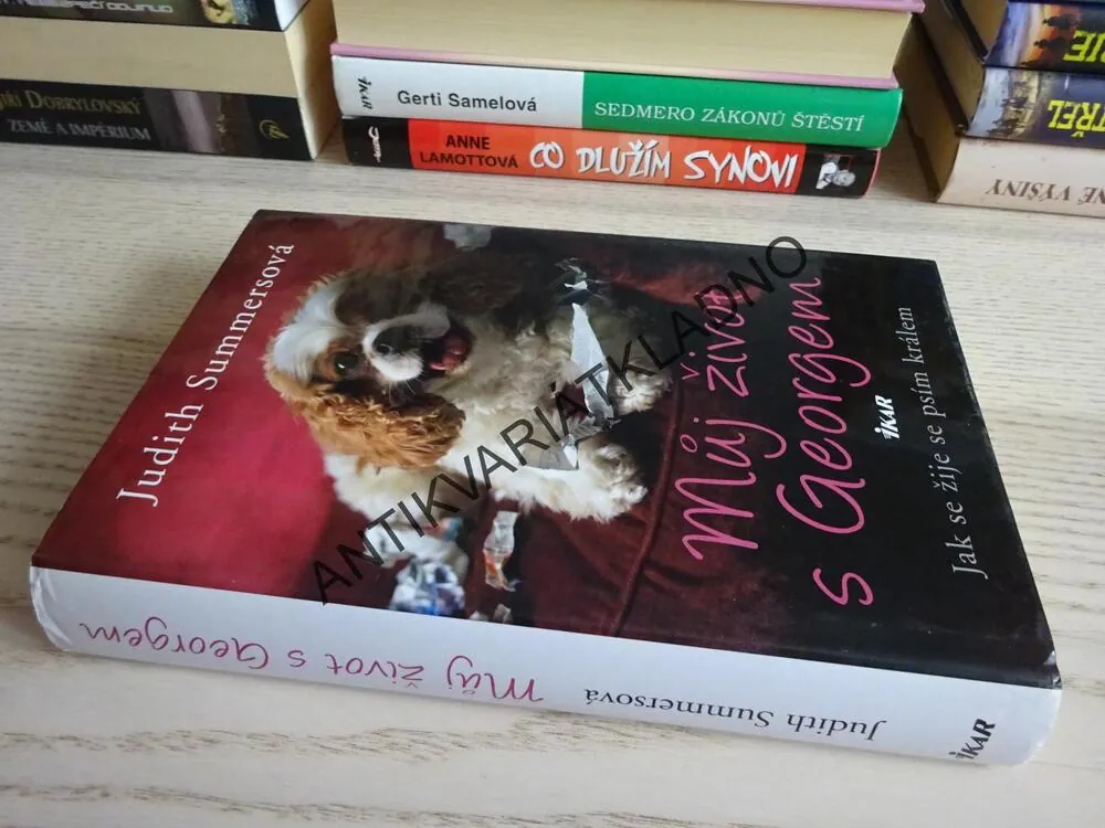 MŮJ ŽIVOT S GEORGEM, JUDITH SUMMERSOVÁ, **an
