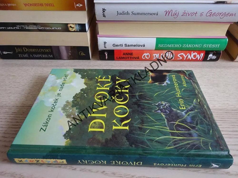 DIVOKÉ KOČKY, ERIN HUNTEROVÁ, **an