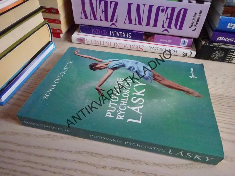 PUTOVANIE RÝCHLOSŤOU LÁSKY, SONIA CHOQUETTE, **an