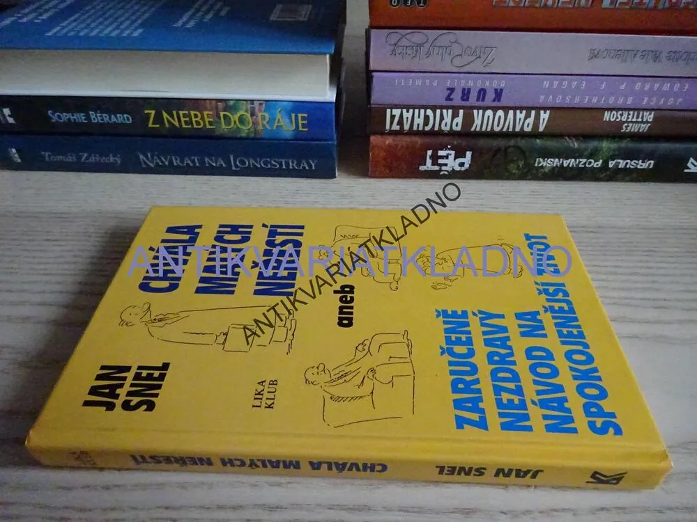 CHVÁLA MALÝCH NEŘESTÍ ANEB ZARUČENĚ NEZDRAVÝ NÁVOD NA SPOKOJENĚJŠÍ ŽIVOT, JAN SNEL, **an